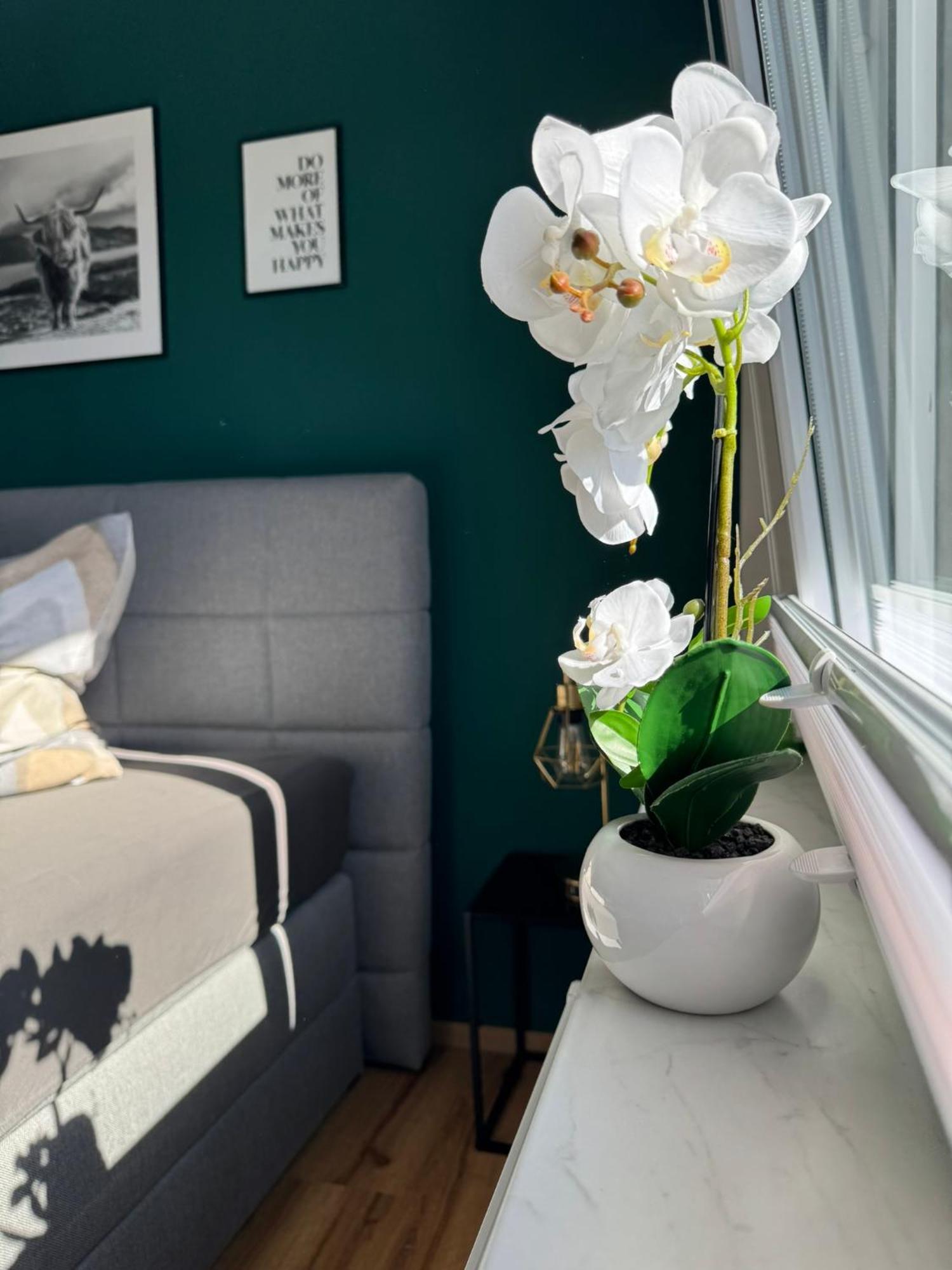 Ferienhaus Hunsrueckliebe Liederbach  Ngoại thất bức ảnh